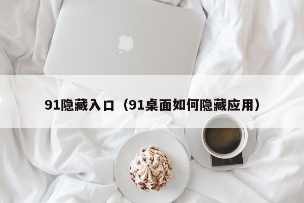 91隐藏入口（91桌面如何隐藏应用）