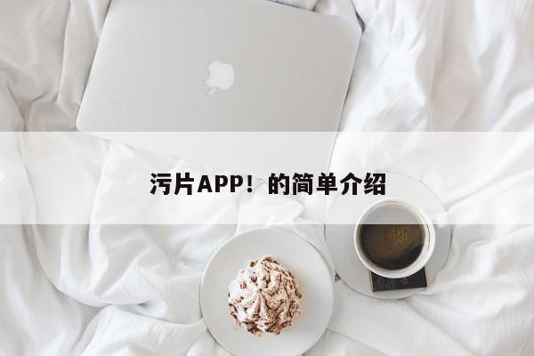 污片APP！的简单介绍